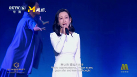 娱乐圈的日子